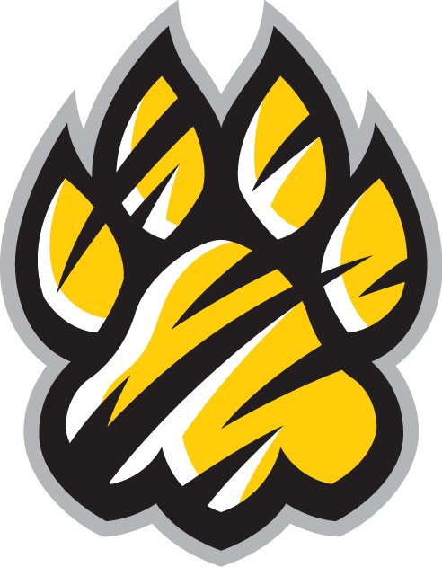 Towson Tigers 2004-Pres Alternate Logo v3 iron on transfers for clothing